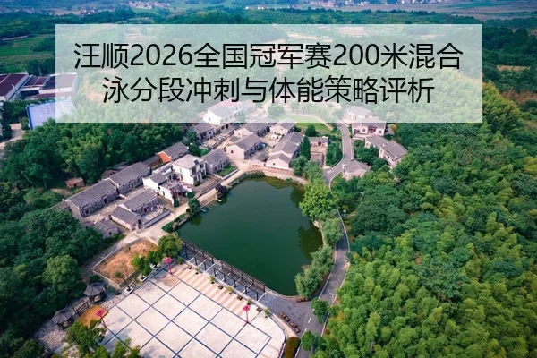 汪顺2026全国冠军赛200米混合泳分段冲刺与体能策略评析